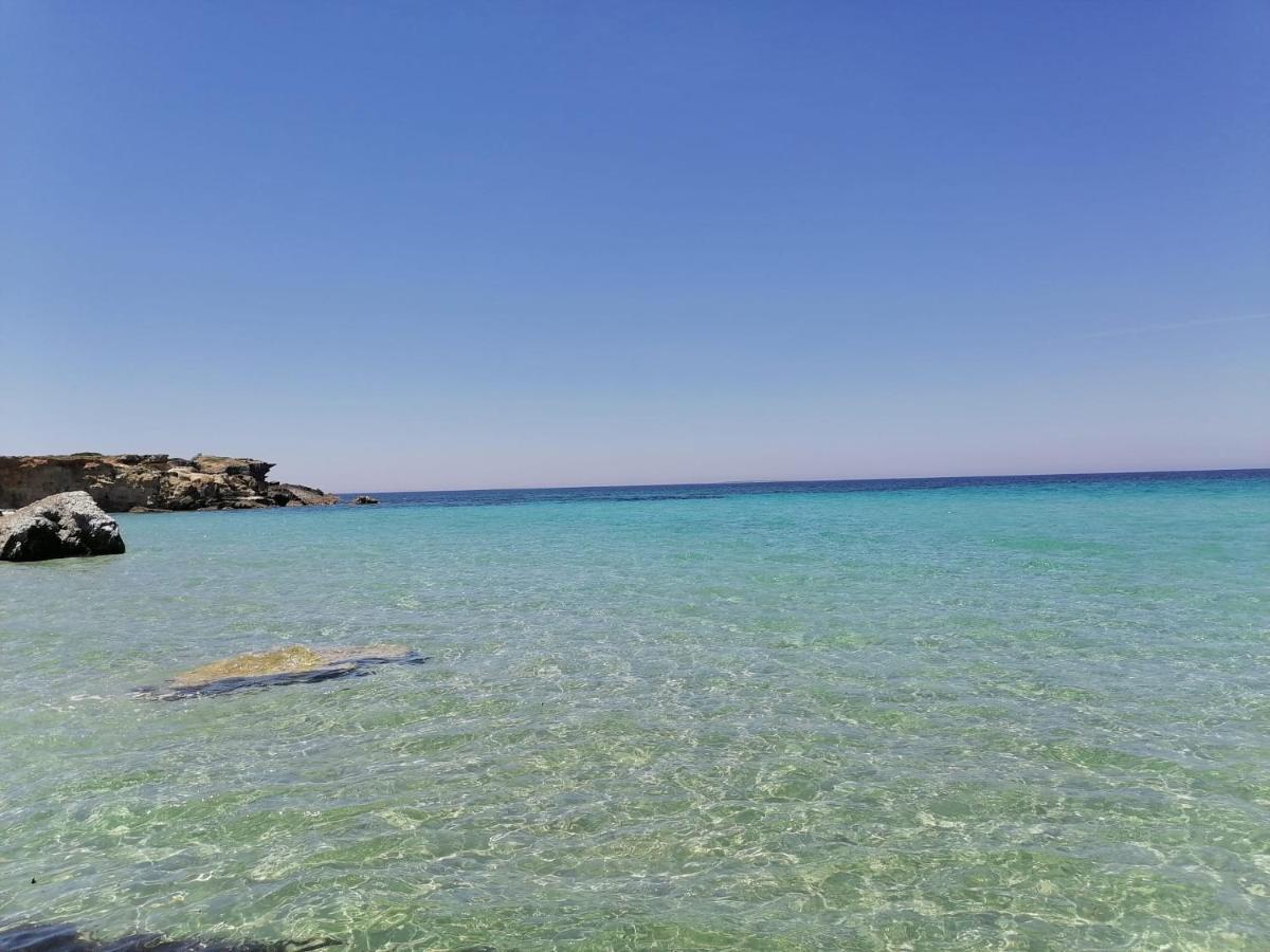 Agriturismo Il Melograno リオーラ・サルド エクステリア 写真