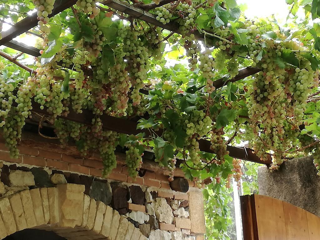 Agriturismo Il Melograno リオーラ・サルド エクステリア 写真