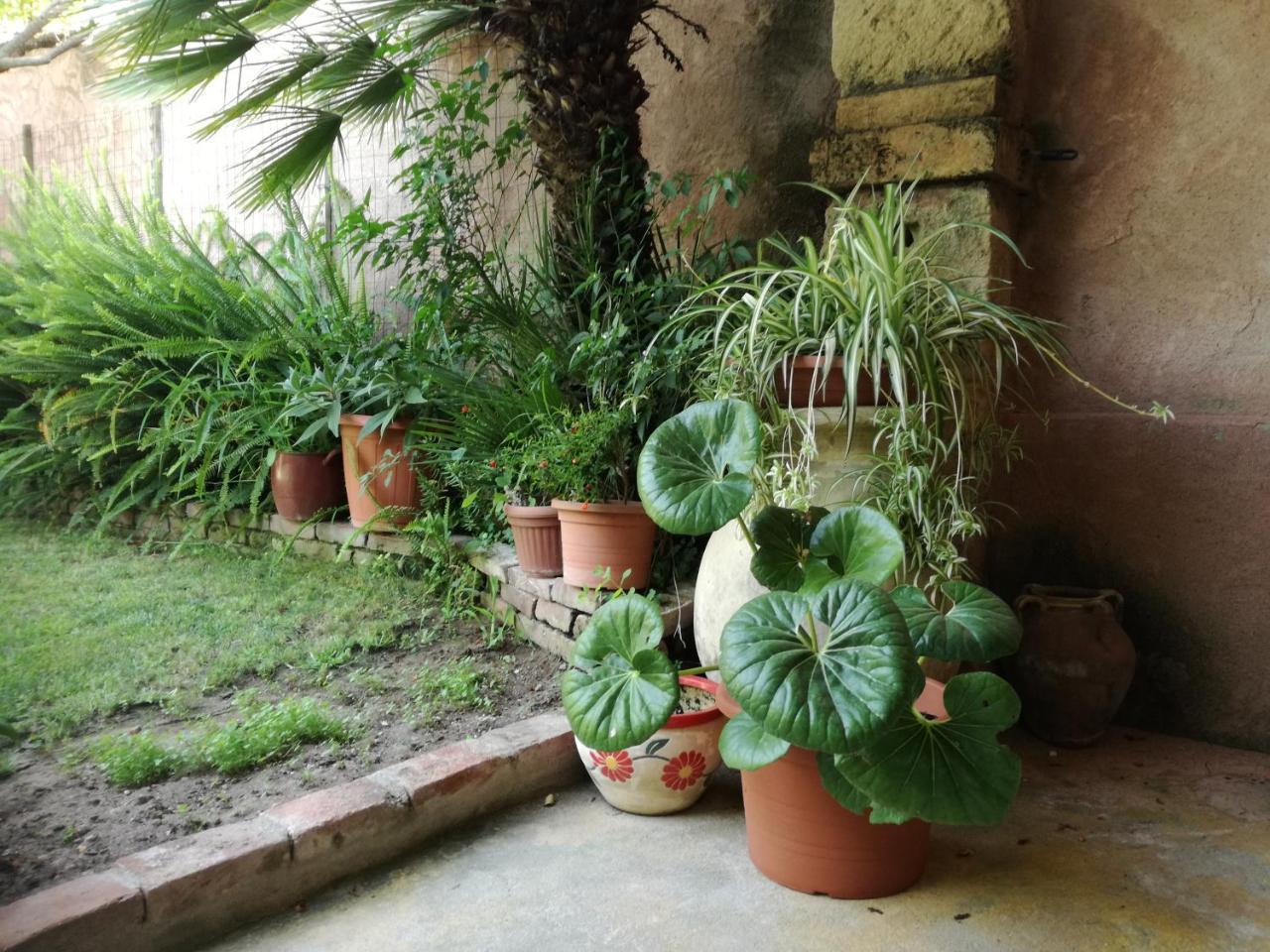 Agriturismo Il Melograno リオーラ・サルド エクステリア 写真